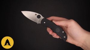 Складной нож Spyderco Sage 5