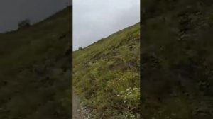 ПРИРОДА ДАГЕСТАНА. СЕЛО ДАГБАШ ШАМИЛЬСКОГО РАЙОНА