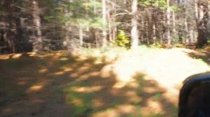 если все достало съездил на природу и пожарил беляшей с сосисками со свежим воздухом отдохнул.mp4