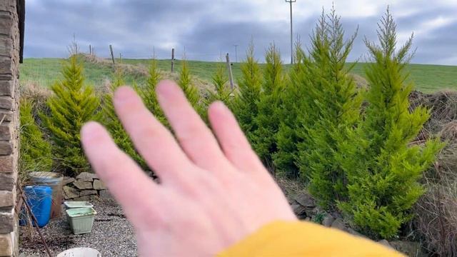 22.1 A Winter Irish Garden Tour смотреть онлайн