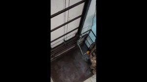 Грузовой подъемник ПГУ 250