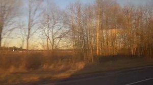 Егорьевск, автобус 36к, участок Назарово - Большое Гридино-1