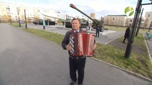 А степная трава пахнет горечью. Баян. Николай Харлов. г. Новый Уренгой