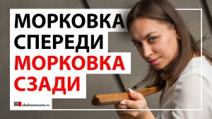 Мотивация во время поиска работы | Разбираем ключевые виды мотивации при поиске работы