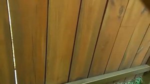 Дачный деревянный забор крашенный маслом и его реставрация