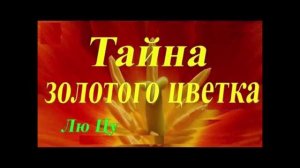 Тайны золотого цветка жизни, Дао. Не все хотят, чтобы вы развивались .