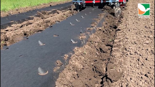 Агротекс: замульчируем и укроем все поля смотреть онлайн