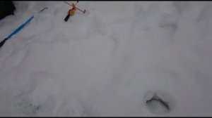 Рыбалка Голицыно Fish