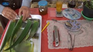 АЛОЭ ВЕРА.  ЧУДО РЕЦЕПТ СВЯЩЕННИКА МОНАХА ОТ ОНКОЛОГИИ