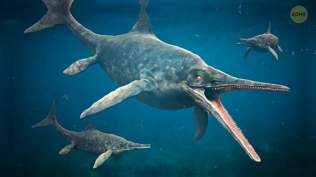 5 массовых вымираний и мы наблюдаем шестое