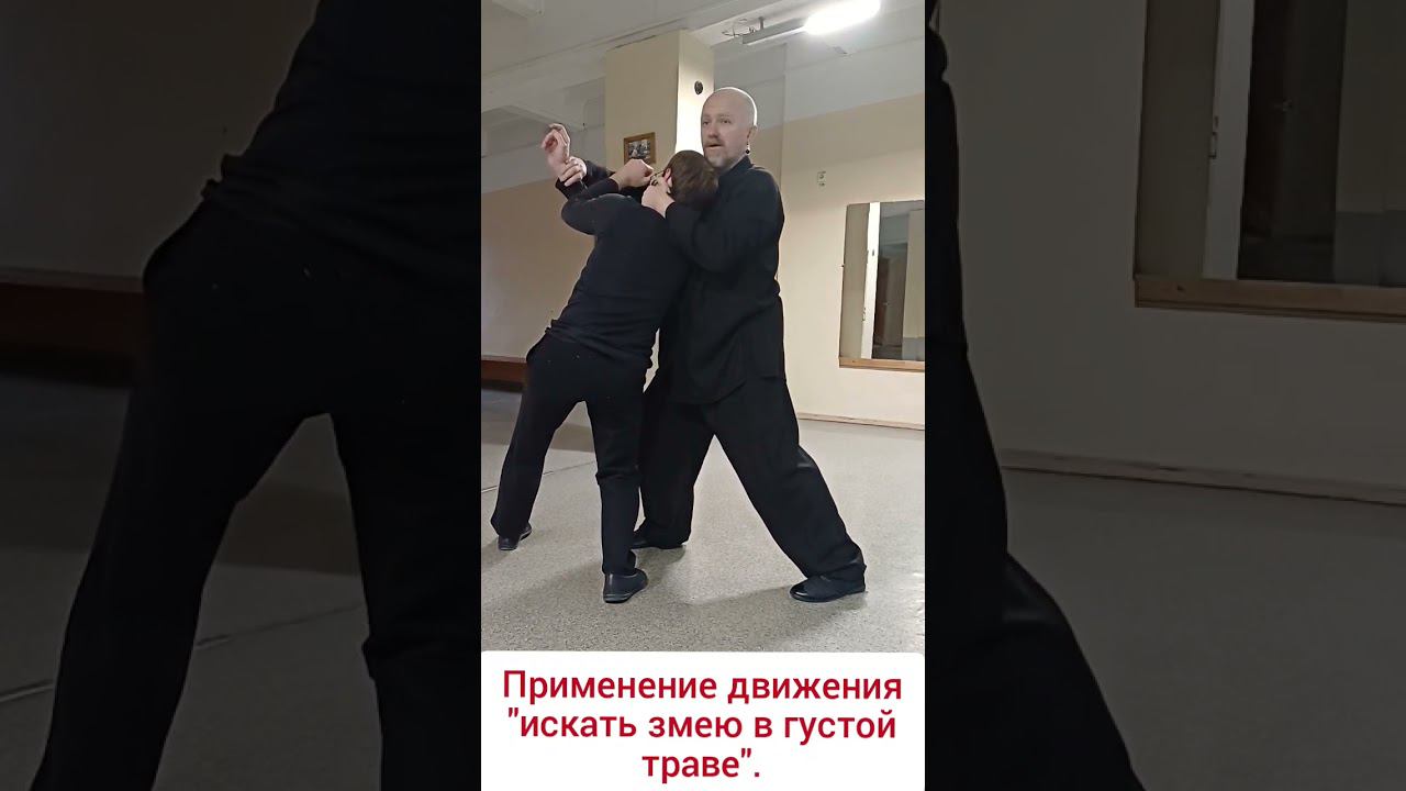 Тайцзи-туйшоу. Применение движения "искать змею в густой траве". #kungfu #даосскиепрактики #цигун