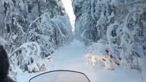 Рыбалка на снегоходе. Отдых в Карелии. Часть 1. Новый год в лесной избе