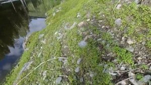 Рыбалка на Саяно Шушенском Водохранилище