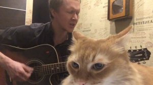 Песни на гитаре Пикник «мышеловка «