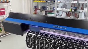 Roland TrueVis VG-640. Краткий обзор.
