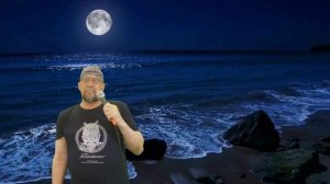 Воскресение-Ночная птица(cover).wmv