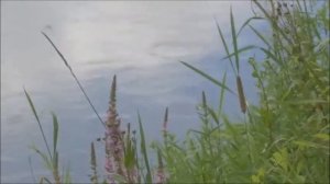 Река -  крутые берега