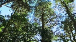 Почему  всё же к нам так липнут болезни ?