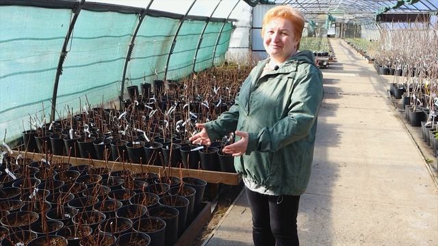 Открытие сезона с 25 марта 2022 года. Садовый центр в Никитском