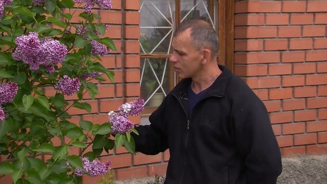 Редкие растения - экзоты в садах Урала .г.Челябинск смотреть онлайн