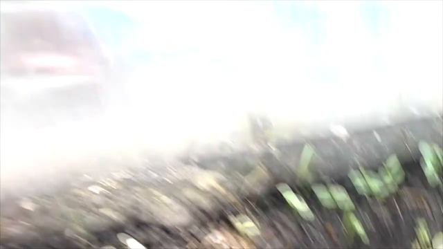 Мой парник «Хлебница» в июле/ Особенности, с чем столкнулась/ Часть 3/5 смотреть онлайн