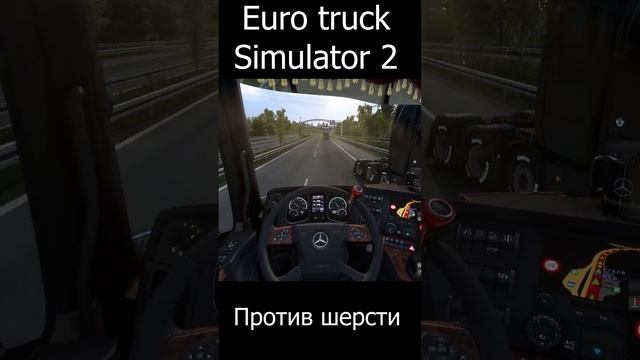 Euro Truck Simulator 2. Против шерсти