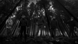 Очередной выход в лес с друзьями, находки радуют