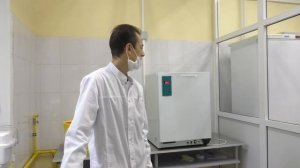 Бактерии на телефонах и их обеззараживание. Лабораторное исследование обсемененности телефонов(2020