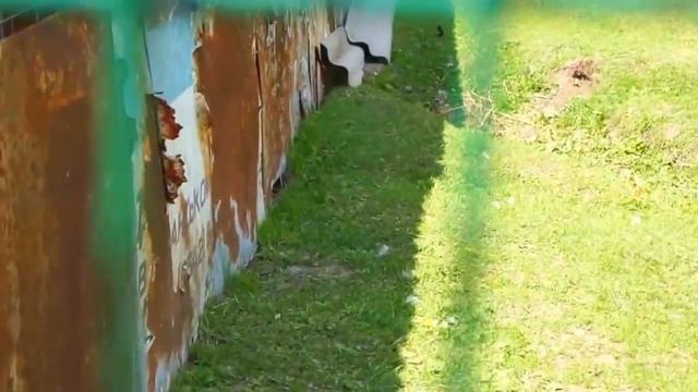 Ночные волки !!!! Вот это отметили !!! окончание 2 класса смотреть онлайн