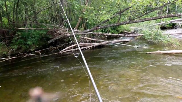 Рыбалка 2022. Поймал ленка на воблера! Сорвался крупный ленок на мушку! Summer fishing 2022. смотреть онлайн