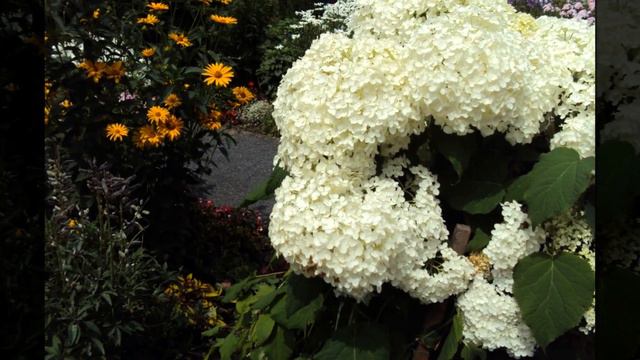 Последние дни августа 2017... смотреть онлайн