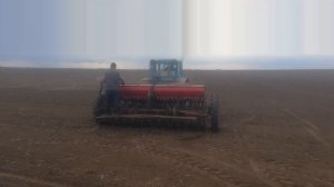 Посев сои трактором МТЗ 52 и сеялкой СЗ 3.6