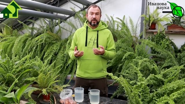 ВСЁ ПРО УДОБРЕНИЕ ИЗ ЯИЧНОЙ СКОРЛУПЫ. Сколько, как вносить, как растворять, каким растениям нельзя.