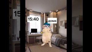 история как я заболела (реальная история)