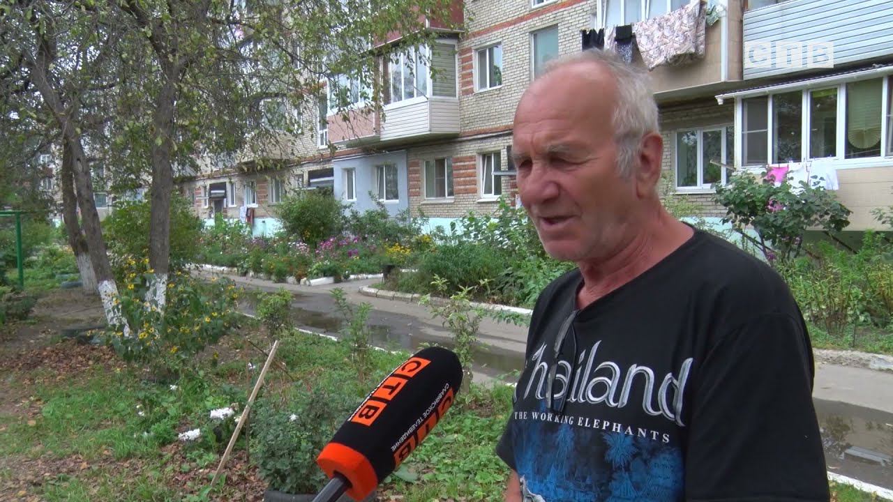 Сломали дерево