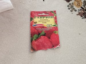 ВЫРАЩИВАНИЕ ЗЕМЛЯНИКИ Из семян Как получить хорошие всходы