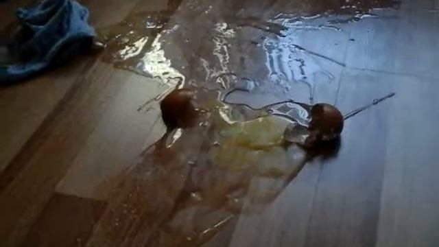 разбивание яиц смотреть онлайн