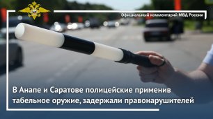 Ирина Волк: Полицейские, применив табельное оружие, задержали правонарушителей в Анапе и Саратове