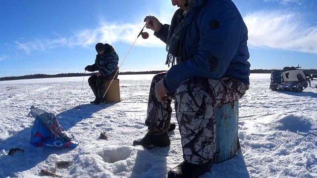 Рыбалка | Трофей за трофеем | Клюётздоровенная ВАХНЯ! смотреть онлайн