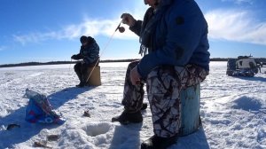 Рыбалка | Трофей за трофеем | Клюётздоровенная ВАХНЯ!