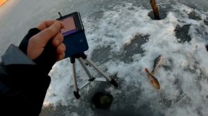 Зимняя рыбалка с эхолотом Deeper Chirp+. Анализ возможностей эхолота
