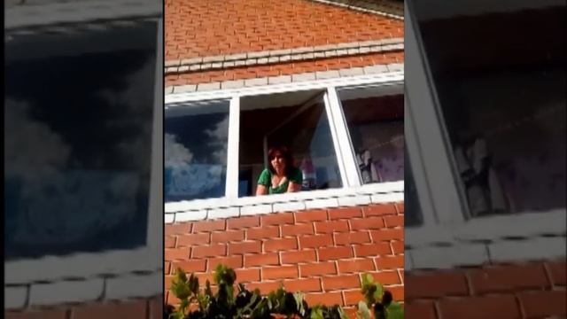 Собака лает а караван идёт смотреть онлайн