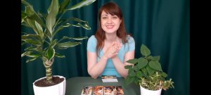 ТАРО для Мужчин❤НОВАЯ ЛЮБОВЬ💞НЕОБЫЧНОЕ ЗНАКОМСТВО⚡расклад на будущее🔮совет Высших Сил🌞