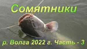 Сомятники: р. Волга 2022. Часть - 3.