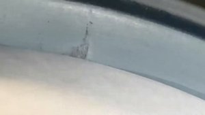 ПОЧЕМУ ТЕКУТ САЛЬНИКИ