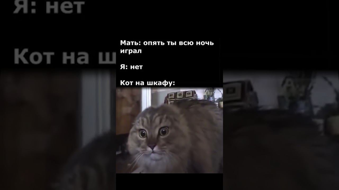 Шепард предатель мем [MW2] смотреть онлайн