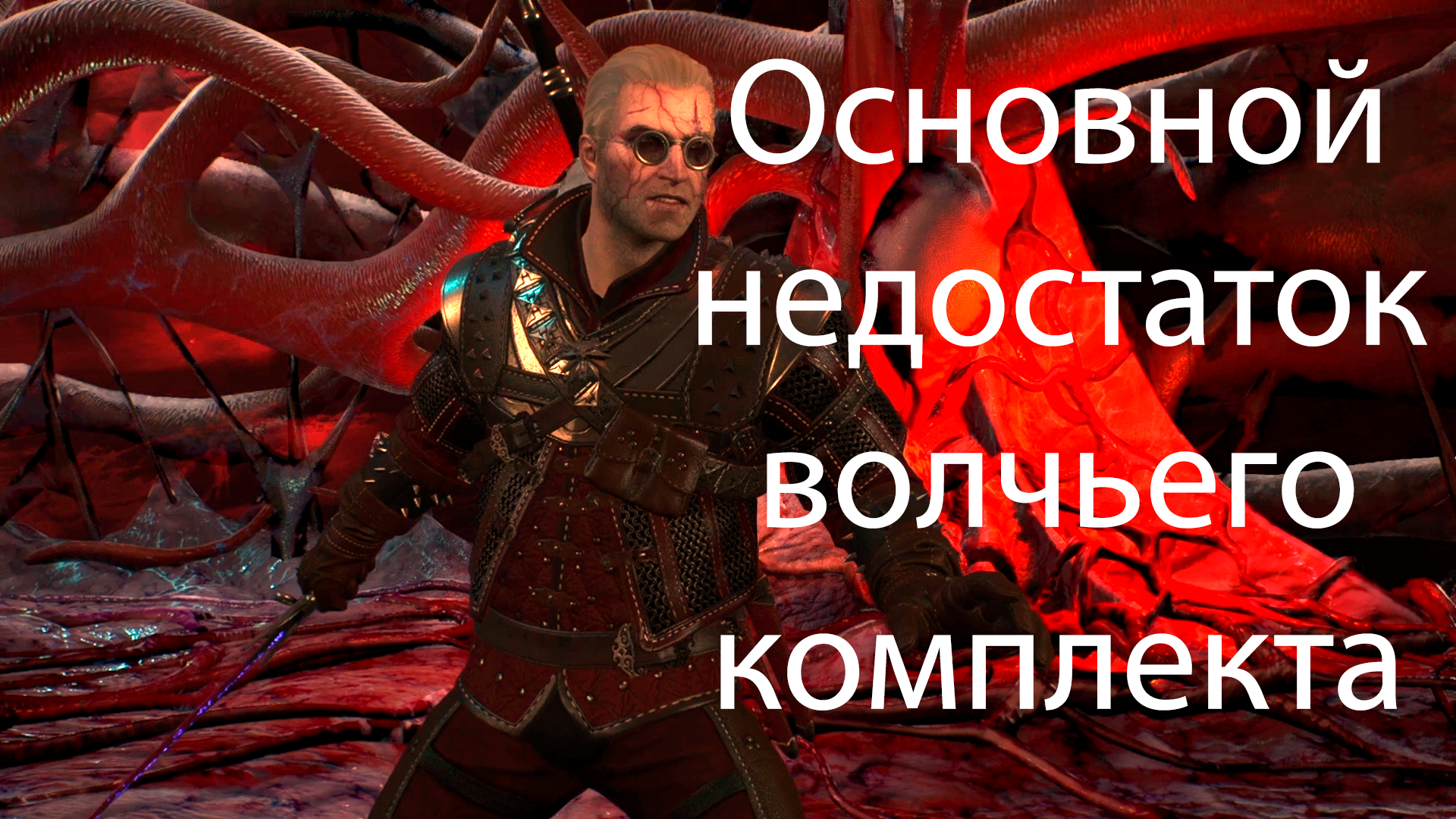 Основной недостаток волчьего комплекта в The Witcher 3: Wild Hunt