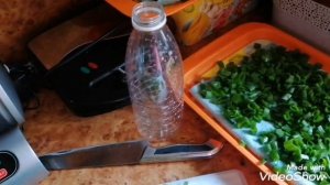 Заморозка зелени. Как заморозить зелёный лук в бутылке. Заготовки на зиму.