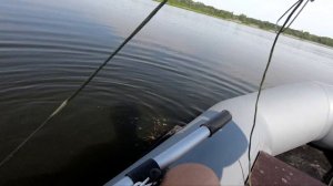 ТЕЙЛ-СПИННЕР Ловит Рыбу В Жару! Рыбалка По ОКУНЮ и Щуке!