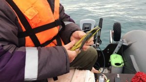 Ловля луфаря на воблеры. Как спиннингист стал самодурщиком.